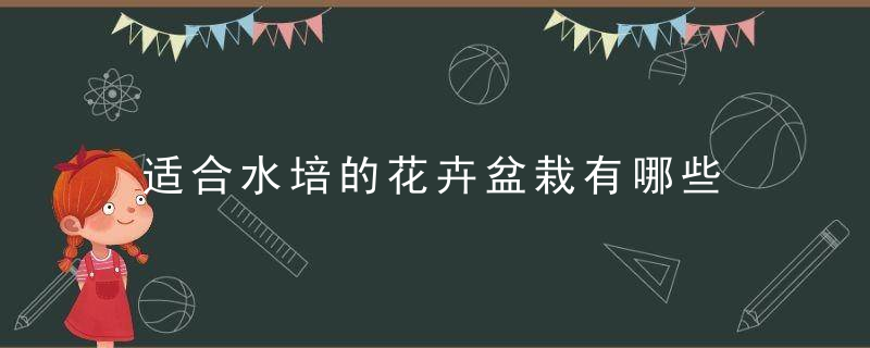 适合水培的花卉盆栽有哪些 适合水培的花卉盆栽介绍